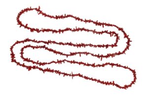 COLLANA 35